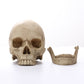 resin-skull-head-craft-personality-ornament.jpg